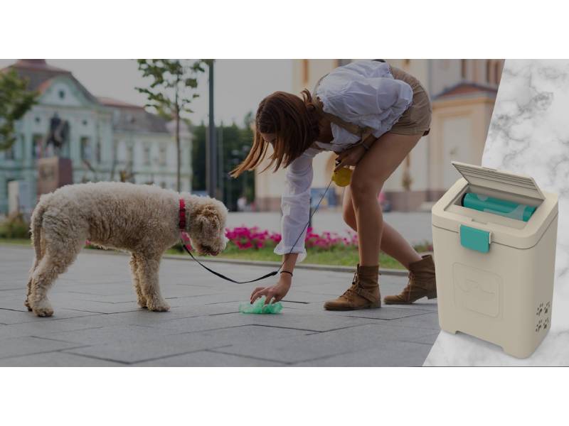 pet waste disposal system
