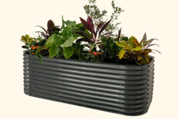 What to Consider Before Buying a Raised Garden Bed Kit?