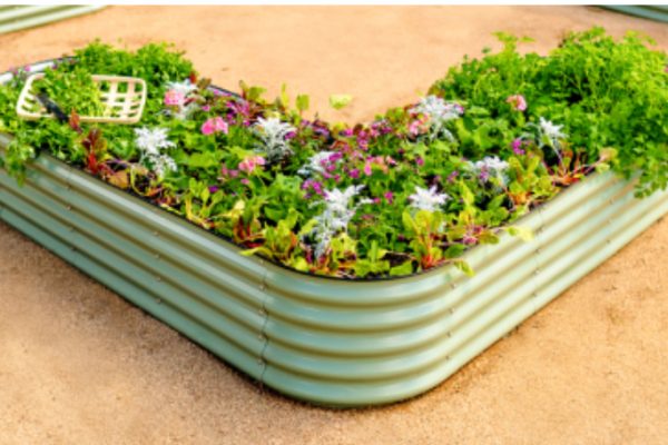 Evaluating Galvanised Raised Bed Planters For Growing Vegetables Safely